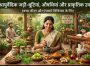 आयुर्वेदिक उपचार क्या है? फायदे, प्रकार और घरेलू उपाय
